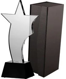 VS VS, Trofeum szklane + etui - Gadżety dla kibiców - miniaturka - grafika 2