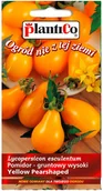 Nasiona i cebule - Plantico Pomidor Yellow Pearshaped - miniaturka - grafika 1