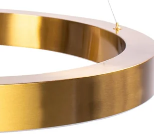 Step into Design Lampa wisząca CIRCLE 40+60 LED mosiądz na 1 podsufitce ST-8848-40+60 brass) Step into Design ST-8848-40+60 brass - Lampy sufitowe - miniaturka - grafika 2