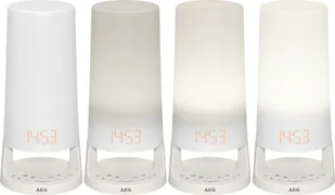 AEG MRC 4147 L - Radiobudziki - miniaturka - grafika 3