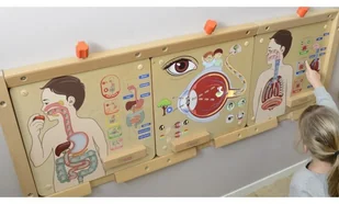 Masterkidz MASTERKIDZ Tablica Edukacyjna Układ Oddechowy ME14405 - Tablice dla dzieci - miniaturka - grafika 5