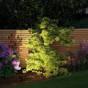 Paulmann Plug & Shine Sting 3 szt. rozszerzenie - Lampy ogrodowe - miniaturka - grafika 3