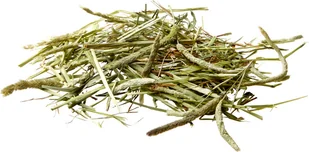 Versele-Laga VERSELE LAGA Timothy Hay 1kg siano tymotkowe 424191 - Karma dla gryzoni - miniaturka - grafika 2