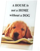 Ramki na zdjęcia - EUROFIRANY B.B. CHOCZYŃSCY SPÓŁKA JAWNA Ramka Zdjęcia C. PRINT, MÓWISZ I MASZ, biały, czarny, 12x18 cm - miniaturka - grafika 1