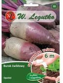 Nasiona i cebule - Legutko BURAK ĆWIKŁOWY Opolski W. 20g ogr000168 - miniaturka - grafika 1