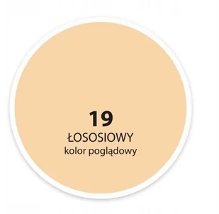 Dekoral Farba Akrylit W Łososiowy 5 L - Farby olejne i specjalne - miniaturka - grafika 3