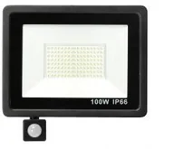 Lampy ogrodowe - DomenoLED DomenoLED Halogen 28 naświetlacz 100W/LED 4000K IP65 28 - miniaturka - grafika 1