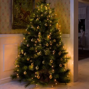 Konstsmide Lampki LED z pierścieniem, 5 pasm - Pozostałe oświetlenie - miniaturka - grafika 2