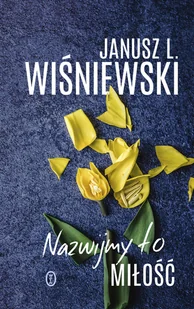 Nazwijmy to miłość - Powieści - miniaturka - grafika 2