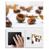 Przysmaki dla psów - Pix4home Plakat metalowy leśne przysmaki L POS-L-00889 - miniaturka - grafika 1