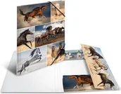 Teczki i skoroszyty - Herma Teczka A4 19209 19209 - miniaturka - grafika 1