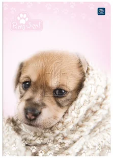 Inter-druk Zeszyt A5 16k. - linia - Zeszyty szkolne - miniaturka - grafika 9