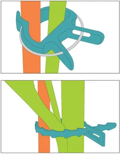 FLO Zestaw ogrodniczy do podwiązywania roślin kpl 71 szt (88811) - Pozostałe akcesoria do uprawy roślin FLO Zestaw ogrodniczy do podwiązywania roślin kpl 71 szt (88811) - Pozostałe akcesoria do uprawy roślin - miniaturka - grafika 3