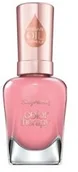 Lakiery do paznokci - Sally Hansen SALLY HANSEN_Color Therapy Argan Oil Formula lakier do paznokci 240 Primrose And Proper 14,7ml - miniaturka - grafika 1