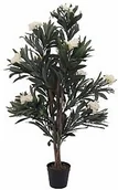Sztuczne drzewka - Europalms EUROPALMS Drzewo oleander, sztuczna roślina, biały, 120 cm 82507246 - miniaturka - grafika 1