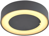 Lampy ogrodowe - Globo Lighting Lampa sufitowa zewnętrzna LED 12W SURA 32136D Globo 32136D - miniaturka - grafika 1