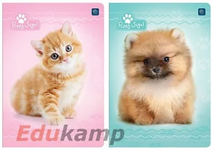 Inter-druk SA ZESZYT A5 16 # UV KOLEKCJA PUPPY SING wszystko dla domu i biura! ZE16#PS - Zeszyty szkolne - miniaturka - grafika 3
