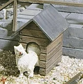 Akcesoria i części modelarskie - Pola ris 333210  1 buda dla psa, akcesoria do modeli kolejek, budowa modeli - miniaturka - grafika 1