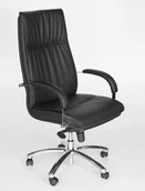 Fotele i krzesła biurowe - Intarseating Krzesło biurowe SENATOR stalowe podłokietniki KP-SENATOR-AF-120 - miniaturka - grafika 1