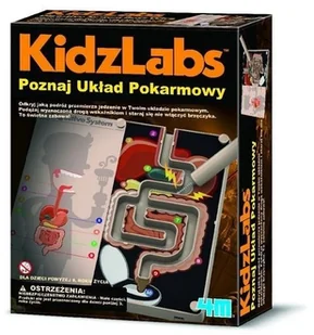 4M KidzLabs Poznaj Układ Pokarmowy - Mały naukowiec - miniaturka - grafika 3
