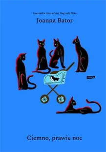 Ciemno prawie noc wyd.4 Joanna Bator - Powieści - miniaturka - grafika 2