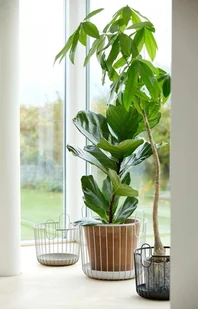 ZONE Denmark ZONE Denmark INU Metalowy Kosz do Przechowywania 30 cm Jasnoszary Soft Grey 10569 - Pudła i pojemniki do przechowywania - miniaturka - grafika 5