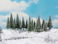 Kolejki i akcesoria - NOCH Jodły śnieżne 10 - 14 cm / 16 szt. 24681 - miniaturka - grafika 1