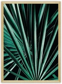 Plakaty - Dekoria Dekoria Plakat Dark Palm Tree 70 x 100 cm Ramka Złota 223H-000-18 - miniaturka - grafika 1