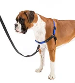Szelki dla psów - Ferplast Coach uprząż dla psa, rozmiar 26 33 cm/2 59 cm M/L - miniaturka - grafika 1