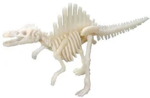 Geo Kids/Navir/DAM Bones&More, Duży szkielet dinozaura - wykopalisko odcisk łapy mokopico-1752-0 - Zabawki kreatywne - miniaturka - grafika 6