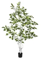 Sztuczne drzewka - Europalms Euro Palms 82505230 brzoza drzewo 150 cm 82505230 - miniaturka - grafika 1