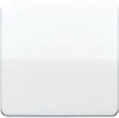 Wyłączniki światła i elektryczne - Jung cd590bf przełącznik kołyskowy zapewnia przełącznik/przycisk - miniaturka - grafika 1