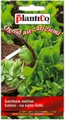 Nasiona i cebule - Plantico Sałata na cięte listki główki zielone - miniaturka - grafika 1