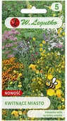 Nasiona i cebule - Legutko Mieszanka roślin kwitnące miasto - miniaturka - grafika 1