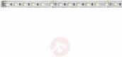 Taśmy LED - Paulmann Taśma LED MaxLED Tunable White 70630 ze złączem męskim 24 V 100 cm ciepły biały biały neutralny biały światła dziennego - miniaturka - grafika 1