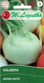 Nasiona i cebule - Legutko sp. z o.o Nasiona Kalarepa Wener Witte-jasnozielona, wczesna - miniaturka - grafika 1