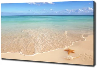 Foto obraz na płótnie Rozgwiazda na plaży - Obrazy i zdjęcia - miniaturka - grafika 2