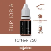 Pozostałe akcesoria kosmetyczne - BIOEVOLUTION Barwnik Toffee 250 - Euphoria - 10 ml 591 - miniaturka - grafika 1