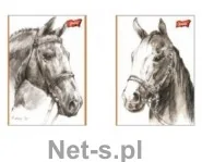 St. Majewski Szkicownik A4 20k Konie - Przybory szkolne - miniaturka - grafika 3