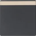 Wyłączniki światła i elektryczne - Berker KLAWISZ POJEDYNCZY Z POLEM OPISOWYM ANTRACYT Q1 Q3 Q7 16266086 - miniaturka - grafika 1