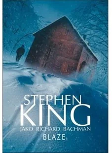 Albatros King Stepehn Blaze - Horror, fantastyka grozy - miniaturka - grafika 2