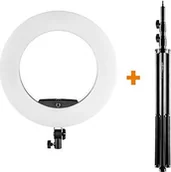 Statywy fotograficzne - Walimex Pro GN-806 - miniaturka - grafika 1