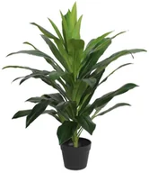 Sztuczne kwiaty - SPLENDID Dracena sztuczna w doniczce 80 cm SPLENDID - miniaturka - grafika 1