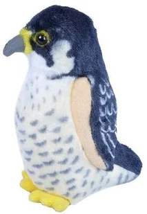 Wild Republic Sokół wędrowny Peregrine Falcon) ptaszek z głosem 19598 - Maskotki i pluszaki Wild Republic Sokół wędrowny Peregrine Falcon) ptaszek z głosem 19598 - Maskotki i pluszaki - miniaturka - grafika 1