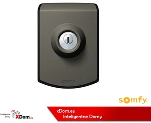 Somfy Wyłącznik kluczykowy do napędu 2 SZTUKI - Akcesoria do bram - miniaturka - grafika 5