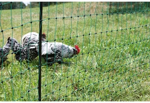 Kerbl Elektryczna siatka ogrodzeniowa dla drobiu, 50 m, 292220 Kerbl - Akcesoria do hodowli zwierząt - miniaturka - grafika 4