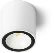 Lampy ogrodowe - Redlux Lampa sufitowa zewnętrzna SENZA R antracyt R13623   R13623 - miniaturka - grafika 1