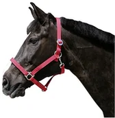 Akcesoria turystyczne - Kerbl KERBL Kantar Nylon uzda Classic, czerwony, 0, 32102 32102 - miniaturka - grafika 1