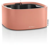 Donice - Lechuza Misa Pila koralowy - miniaturka - grafika 1