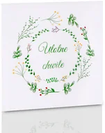 Pudełka i akcesoria na płyty CD - Obwoluta TS Ulotne chwile (na płytę CD/DVD) - miniaturka - grafika 1